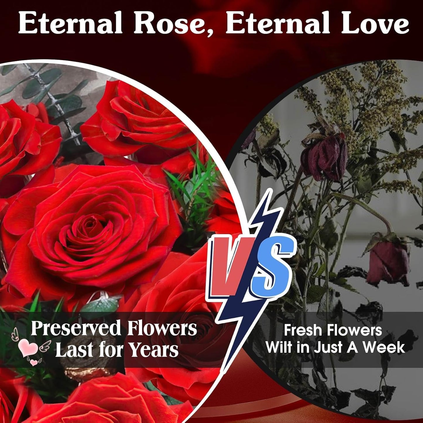 ADDWel 12 Pcs Preserved Red Roses Bouquet, Real Roses That Last Years, Valentine's Day Gifts for Wife Girlfriend, Romantic Anniversary Birthday Gift for Her Mom, One Dozen Forever Flowers for Delivery